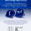 AFUL Cantor หูฟัง IEMs 14 ไดรเวอร์ Balanced ระดับเรือธง เวทีเสียงหลายมิติ ประกันศูนย์ไทย