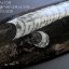 ฟอสซิล Nautiloid ออโทเซอรัส (Orthoceras sp.) - จาก Morocco #OT004