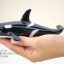 โมเดลสัตว์ทะเล ชุด Ocean World กลุ่มปลาฉลามหลากหลายสายพันธุ์