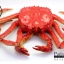 โมเดลปูอะลาสก้า Alaska Crab ตั้งโชว์สวย ขนาดใหญ่ 14 นิ้ว