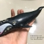 โมเดลสัตว์ทะเล ชุด Ocean World กลุ่ม วาฬ หลากหลายสายพันธุ์