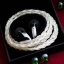 ขาย V-Friend Silver Dragon หูฟังเอียร์บัดกำลังขับ 32 ohm