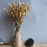 ต้นหญ้าหางกระต่าย Bunny Tails Prop พร็อพถ่ายรูป ตกแต่งบ้าน ร้านค้า ไม้ประดับแจกัน อบแห้ง ต้นหญ้าหางกระต่าย Bunny Tails Prop พร็อพถ่ายรูป ตกแต่งบ้าน ร้านค้า ไม้ประดับแจกัน อบแห้ง