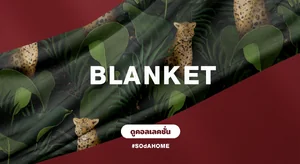 ผ้าห่ม ผ้าห่มอเนกประสงค์ Blanket