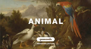 ภาพตกแต่งบ้านสไตล์ สัตว์ สัตว์เลี้ยง Animal
