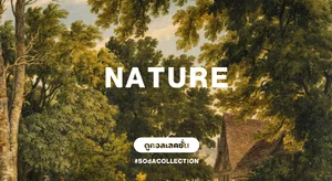 ภาพตกแต่งบ้านสไตล์ ธรรมชาติ ป่าไม้ Nature