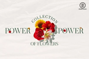 Power of flowers Collection 🌸