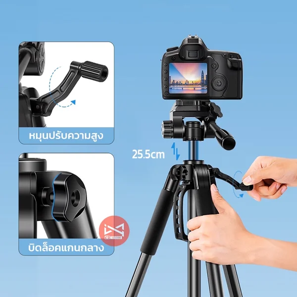 ขาตั้งกล้องถ่ายรูป ราคาประหยัด มี3รุ่น 141/162/203cm รองรับโทรศัพท์ ภาพนิ่ง วีดีโอ ไลฟ์ แข็งแรง เบา image 4 ขาตั้งกล้องถ่ายรูป ราคาประหยัด มี3รุ่น 141/162/203cm รองรับโทรศัพท์ ภาพนิ่ง วีดีโอ ไลฟ์ แข็งแรง เบา image 4