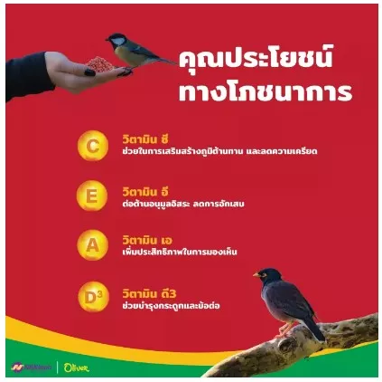 Oliver อาหารนก สำหรับนกขุนทอง นกเอี้ยง 1kg